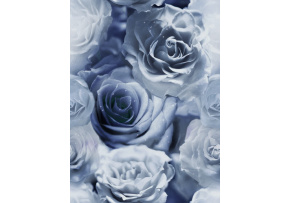 Velvet upholstery fabrics with print, Blue and White Roses
