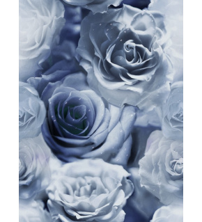 Velvet upholstery fabrics with print, Blue and White Roses