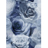 Velvet upholstery fabrics with print, Blue and White Roses
