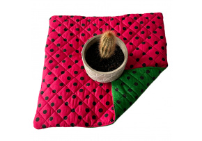 Seat Cushion 40x40x2cm Dot Black on Red and Green