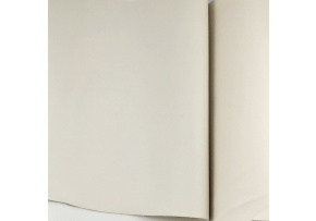 Eco-leather color Ecru standard