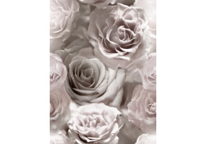 Velvet upholstery fabrics with print, White Roses