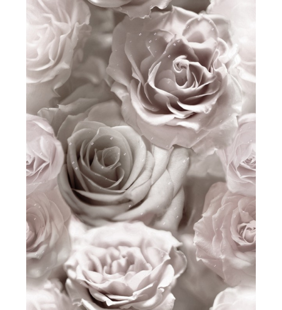 Velurové potahové látky s potiskem vzor 390097-108