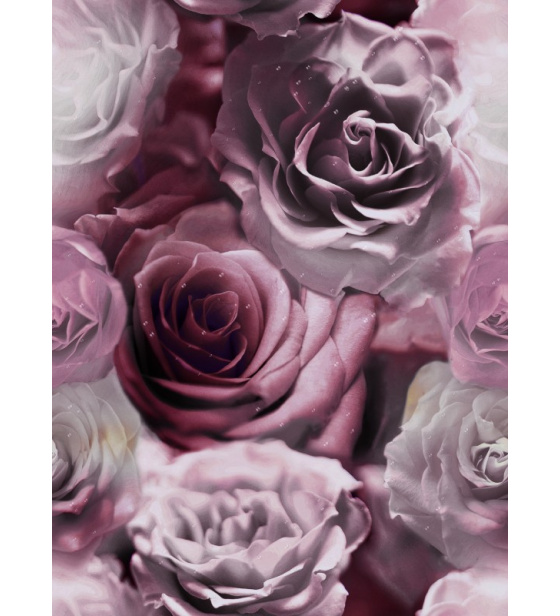 Velurové potahové látky s potiskem vzor 390097-102