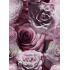 Velvet upholstery fabrics with print, Pink and White Roses