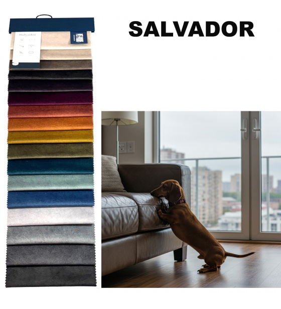 Sample of velour fabrics Salvador Pet Proof, 17x19 cm