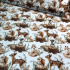 Cotton fabric, by the meter. Crazy cat on White