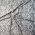 Minky fabric patterned, 380 g/m², width 160 cm, by the meter, Gray Cat
