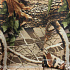 Waterproof fabric Kodura PVC coating 600D, 360 g/m², width 150 cm, autumn green