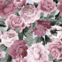 Velvet upholstery fabrics with print, Pink Roses on White