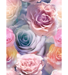 Velvet upholstery fabrics with print, Multicolored Roses