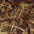 Water-repellent material 150 cm Oxford pole 1.5 m x 0.7 m
